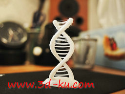 3D打印模型充满艺术感的双螺旋线的图片