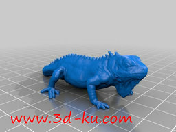 3D打印模型美洲鬣鳞蜥的图片