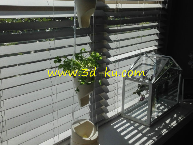 悬挂式水培花盆模型的图片1