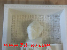 3D打印模型躺着的阿克巴上将的图片