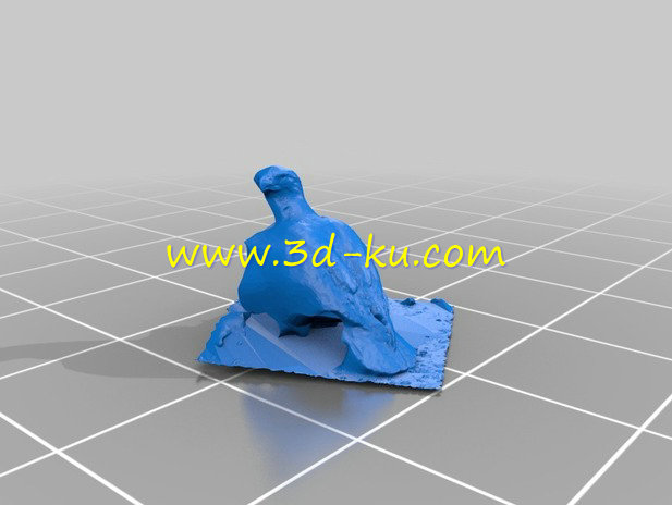 扭头的鹰模型的图片2