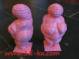 3D打印模型肥胖的妇女的图片