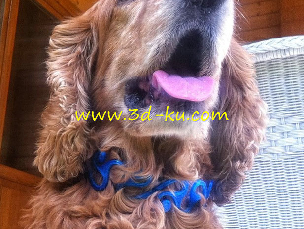 狗的凯尔特项圈模型的图片1