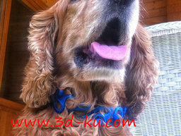 3D打印模型狗的凯尔特项圈的图片