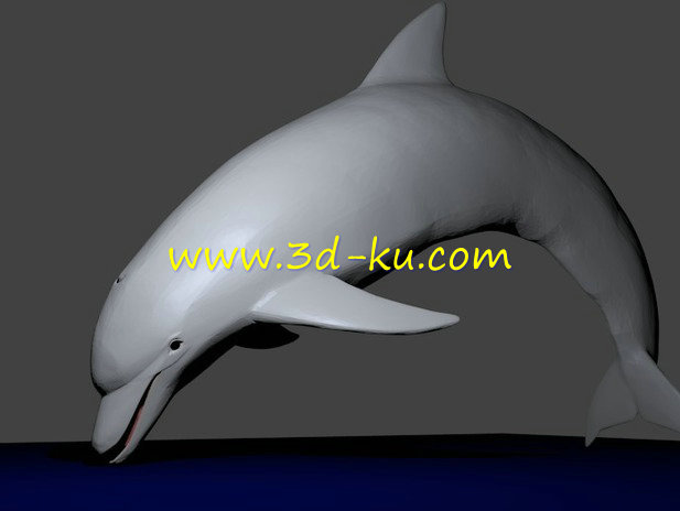 海豚模型的图片1