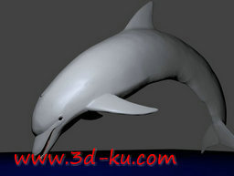 3D打印模型海豚的图片