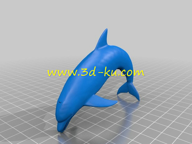海豚模型的图片2