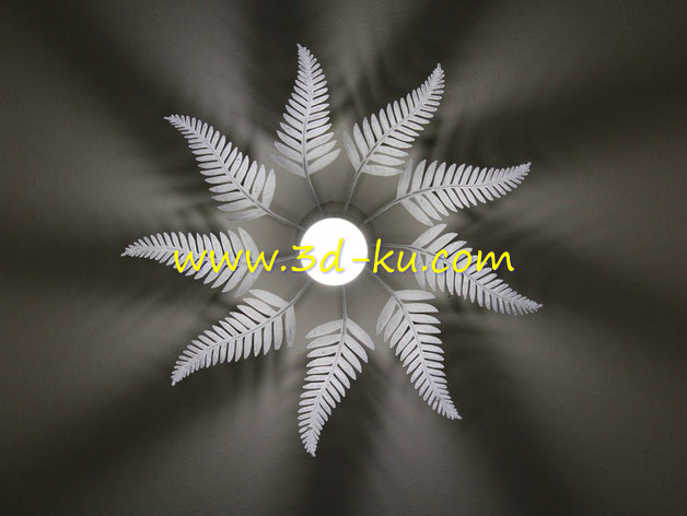蕨类植物的灯罩模型的图片1