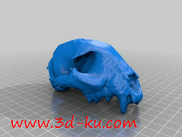 3D打印模型没有下巴猫的头骨的图片