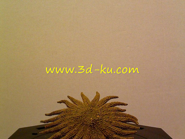 有许多触手的海星之王模型的图片1