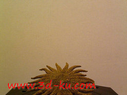 3D打印模型有许多触手的海星之王的图片