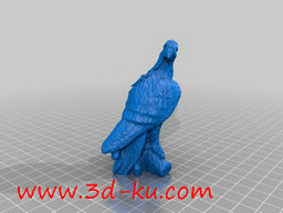 3D打印模型回头的老鹰的图片