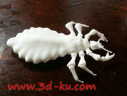 3D打印模型一只虱子的图片