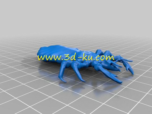 一只虱子模型的图片2