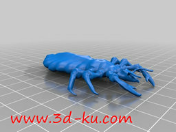 3D打印模型一只虱子的图片