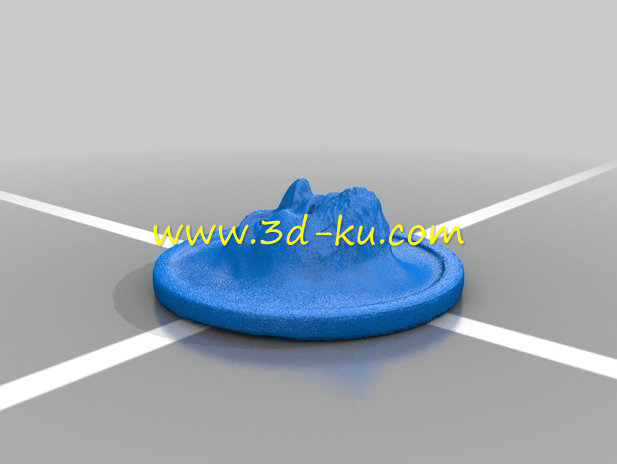 布拉特人脸硬币模型的图片2