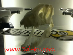 3D打印模型恐龙头骨的图片