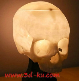 3D打印模型之骷髅灯的图片