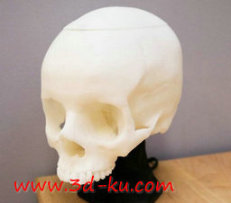 3D打印模型之骷髅灯的图片