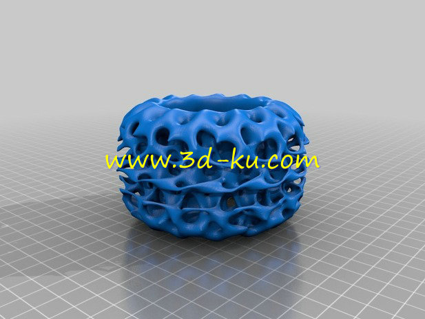 珊瑚结构的圆环模型的图片2