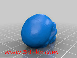 3D打印模型将这些头骨串在一起，的图片