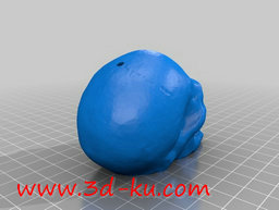 3D打印模型将这些头骨串在一起，的图片