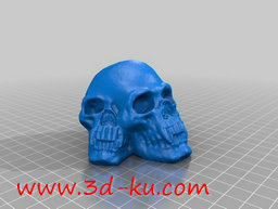 3D打印模型将这些头骨串在一起，的图片