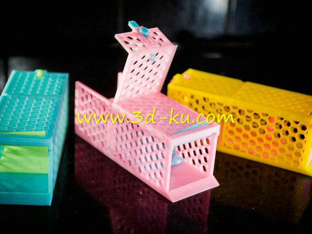 笼子模型的图片1