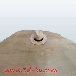 3D打印模型宽檐帽的图片