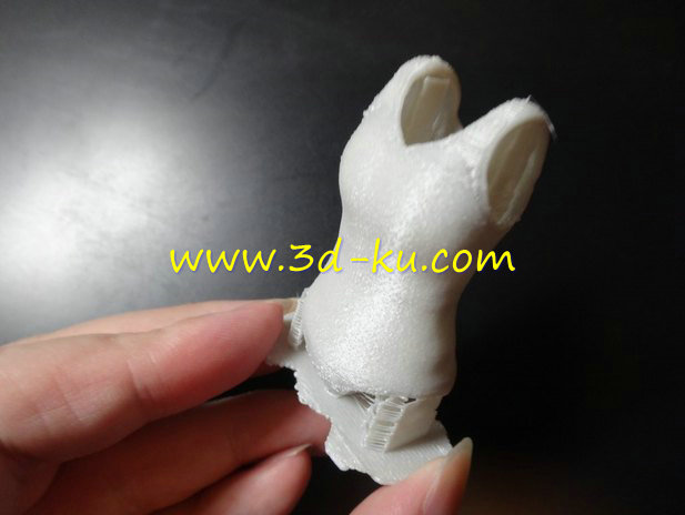 展示泳装的模特模型的图片1