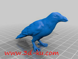 3D打印模型乌鸦的图片