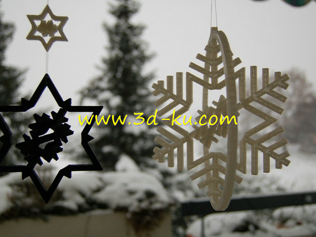 悬挂的雪花吊坠模型的图片1