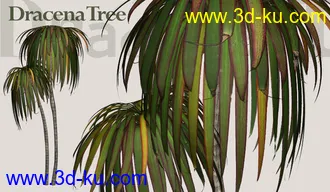 3D打印模型NURBS做的热带树1的图片