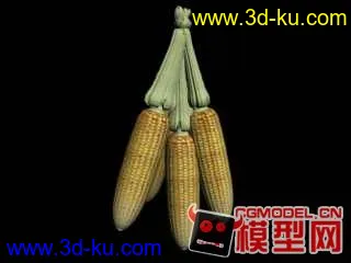 3D打印模型玉米的图片