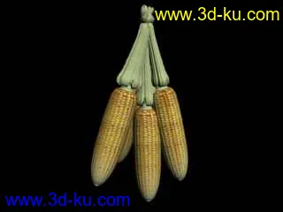 3D打印模型玉米的图片