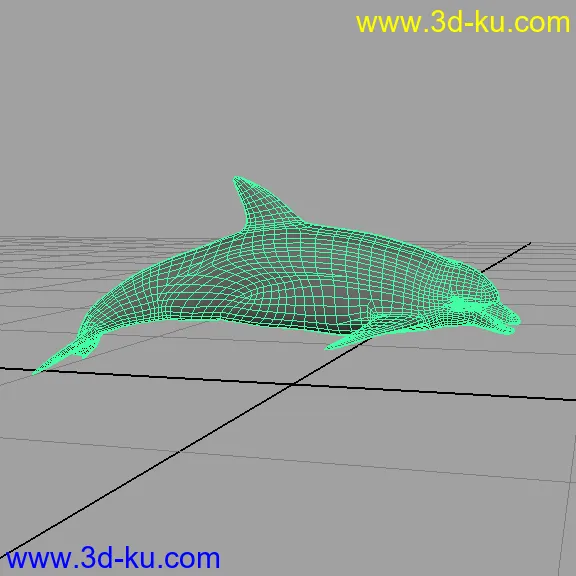 海豚模型的图片2