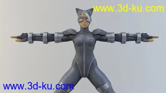 3D打印模型SSF4 Cammy 4的图片