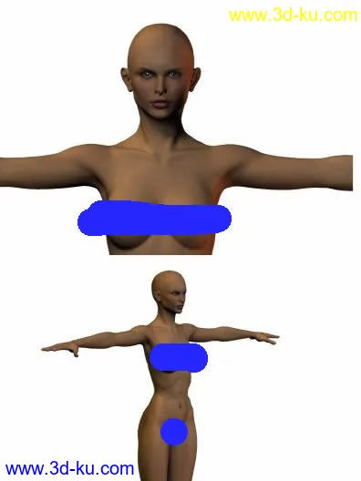 超标准男女人体模型的图片1
