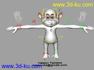 完整绑定模型的图片