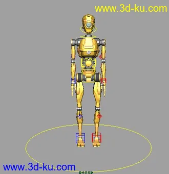 完整绑定模型的图片