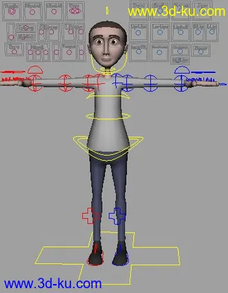 完整绑定模型的图片