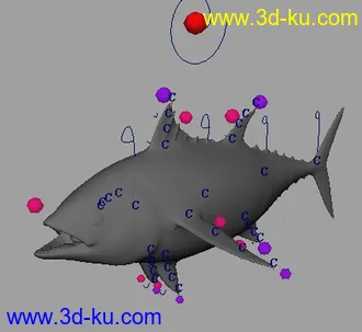 完整绑定模型的图片