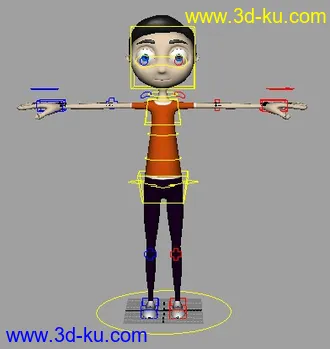 完整绑定模型的图片