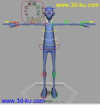 完整绑定模型的图片