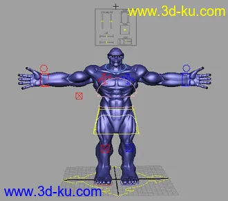 完整绑定模型的图片