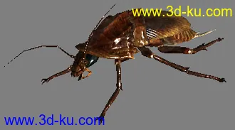 辐射3 Fallout3 模型 有法线贴图的图片