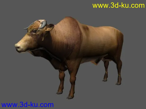 用奶牛改的简化婆罗门牛模型的图片1