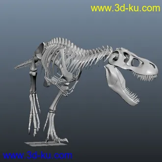 3D打印模型超帅骨龙~^_^~的图片