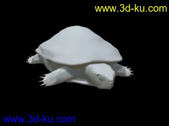 3D打印模型海龟 白模的图片