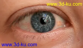3D打印模型逼真的人物眼球的图片